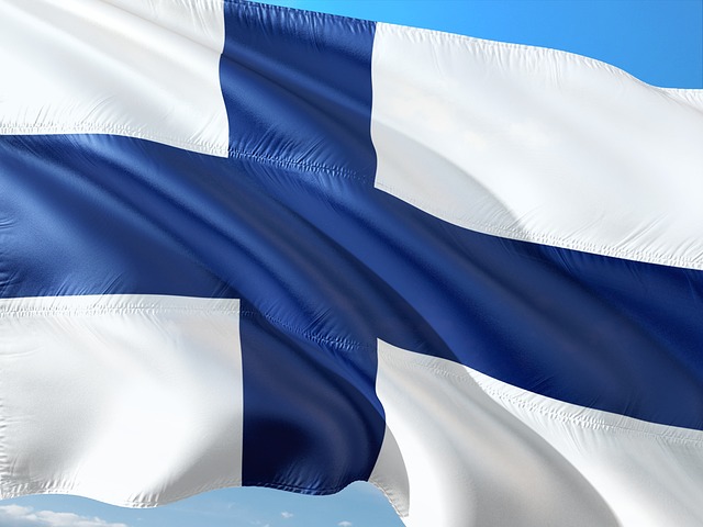 EU-Waffengesetz Finnland übt Kritik (RonnyK/pixabay)