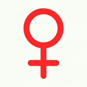 Frauen an die Macht! (janjf93/pixabay)